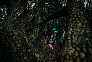 BIB: 
                            <button type="button" onclick="openModal(25690977)" class="btn btn-primary btn-sm float-right btn-popup" data-toggle="modal" data-target=".modal-high-quality">
                        <i class="fas fa-shopping-cart"></i> Add to Cart
                    </button>
                                            <button type="button" onclick="isThisMe(25690977, true)" class="btn btn-success btn-sm float-right btn-popup btn-isme hidden" data-toggle="tooltip" data-placement="bottom" title="นี่คือรูปของคุณใช่ไหม คลิกที่นี่เพื่อเอาเข้าอัลบั้ม">
                        <i class="fas fa-plus"></i> Add to album
                    </button>
                    <button type="button" onclick="isThisMe(25690977, false)" class="btn btn-warning btn-sm float-right btn-popup btn-isnotme hidden">
                        <i class="fas fa-ban"></i> Remove from album
                    </button>